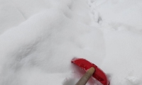 IMG-20230124-WA0005