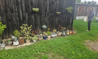 IMG-20240508-WA0019