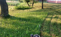 IMG-20230613-WA0029