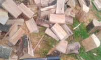 IMG-20260921-WA0009
