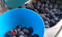 IMG-20260921-WA0031