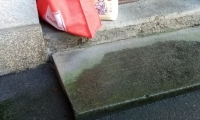 IMG-20201207-WA0012