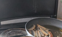 IMG-20230124-WA0021